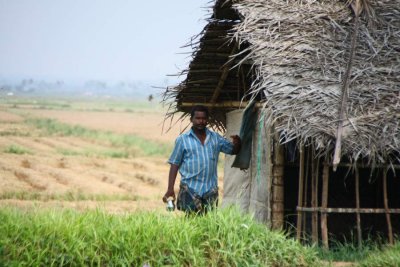 India2009859.jpg