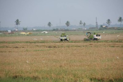 India2009863.jpg