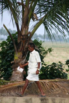 India2009896.jpg