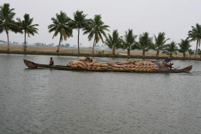 India2009936.jpg