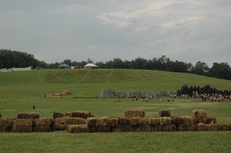 DSC_1976.JPG