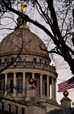 Moon & Squirrel & Capitol