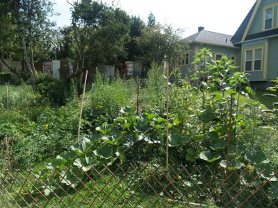 Pumpkins and Sunflowers