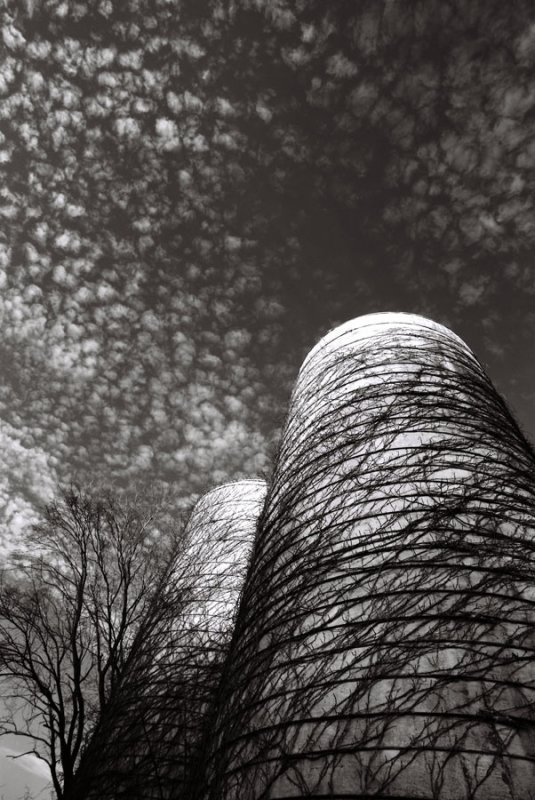 Black and white silo