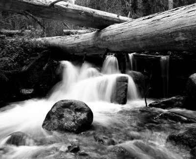 beaverfallsrock67.jpg