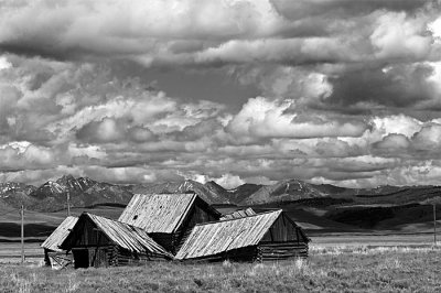 _IMI0774ir.jpg