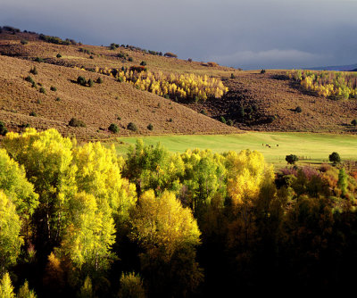 Fall Landscape near McClure Pass
