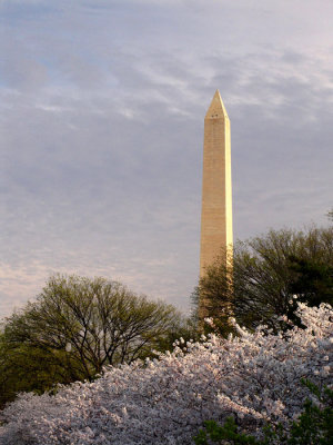 Washington Monument a.m.