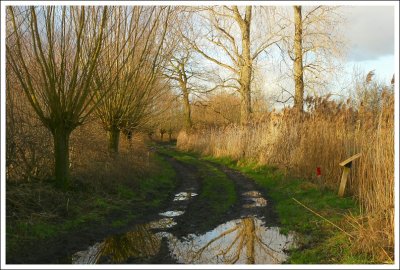 CHAAMSE BEEK 2007 &  2008