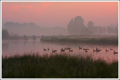 Nature & Rural life  2008
