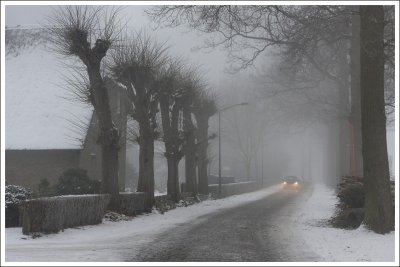 Mist  &  Fog