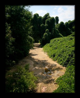 Kudzu Creek