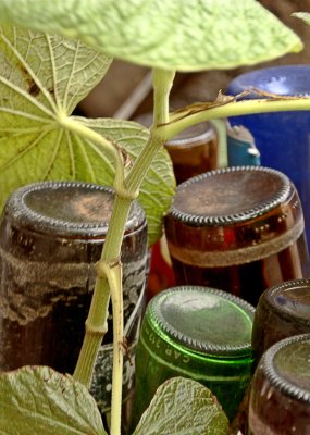 Bottles, etc.
