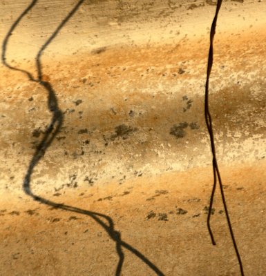 Wire Shadow