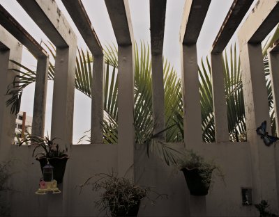 Home & Garden III