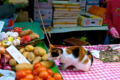 DSC_1720 - Version 2.jpg