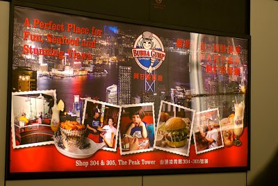 DSC_1742 - Version 2.jpg