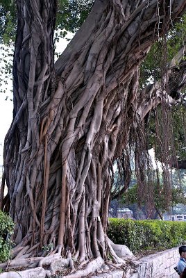 DSC_1962 - Version 2.jpg