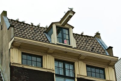 _DSC3045 - Version 2.jpg