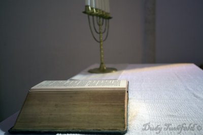 IMG_4276.jpg