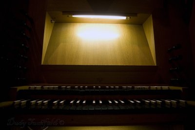 IMG_4286.jpg