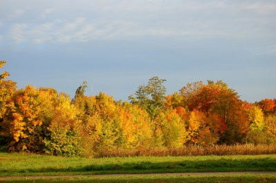 Autumn in Nivaa Denmark