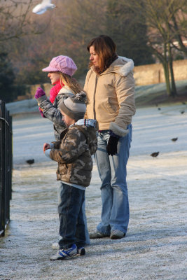 Feeding the birds while freezing to the spot
