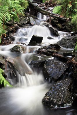 Waterfall (well stream actually)