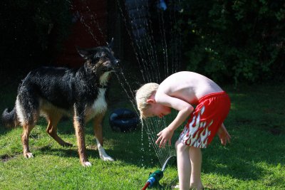 Wash the dog & the boy, good plan.