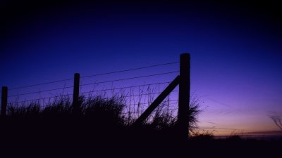Silhouette Fence