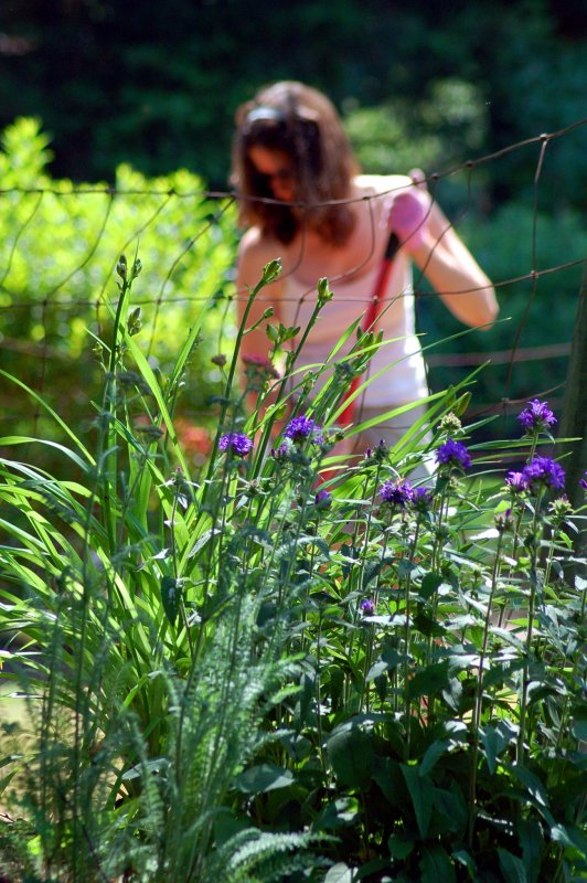 Working in the Yard