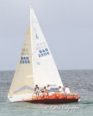 Harris Paints Regatta Yachts 2010