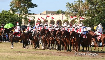 Royal Barbados Police Force Mounted Division