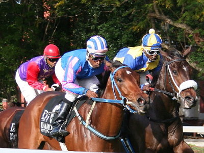 Horse Racing