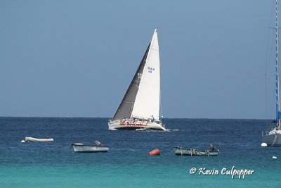 Mount Gay Regatta 2008 Yachts