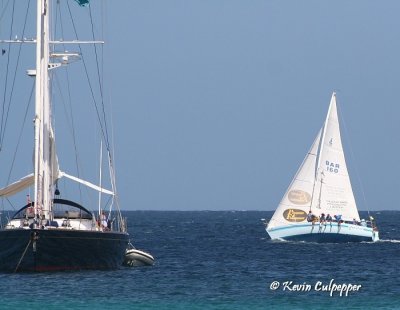 Mount Gay Regatta 2008 Yachts