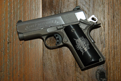 Texas Honor Ride Pistol Grip 2