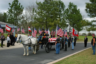 DSC_3310e.jpg