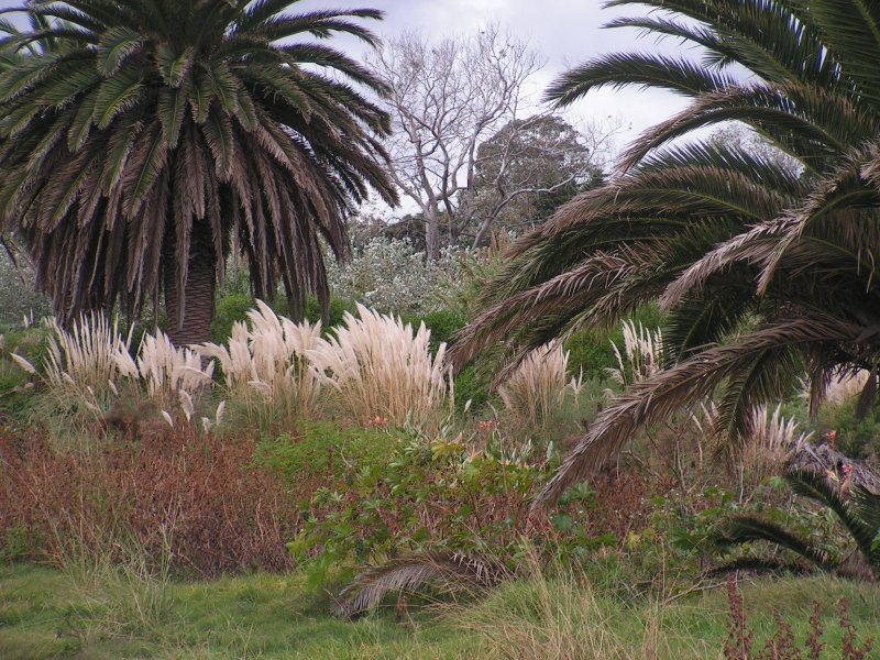 PICT0140.JPG