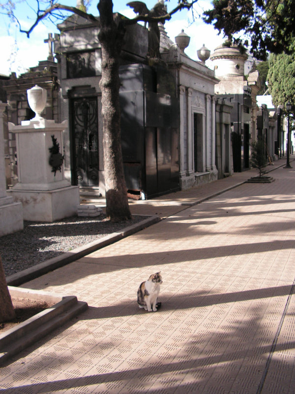 PICT0071.jpg