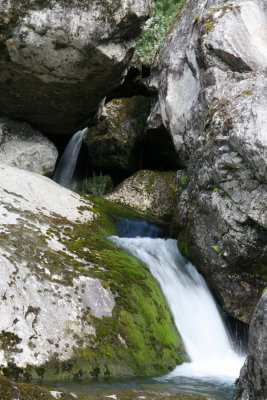 IMG_4382.JPG