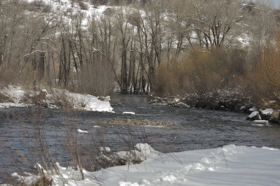 Yampa River