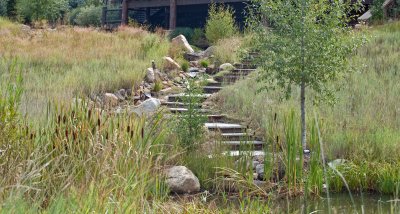 Stairways - Water Feature - Pond