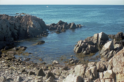 Maine Shoreline