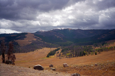 Yellowstone Vista