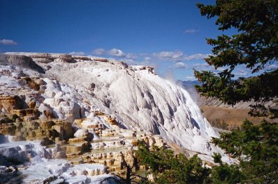 Mammoth Hot Springs