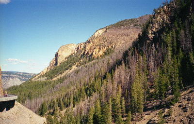 Yellowstone Vista