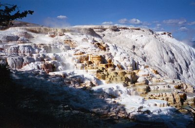 Mammoth Hot Springs