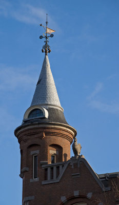 DSC_3080.jpg