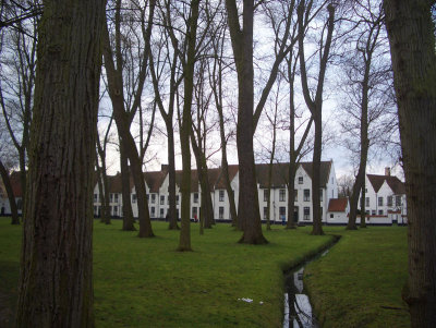 CIMG2855.jpg